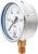 Манометр, Тип ТМ серия 20, виброустойчивый, подключение снизу, Росма В Кургане