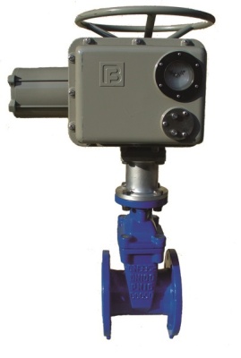 Задвижка с обрезиненным клином фланцевая ABRA с электроприводом Regada В Кургане