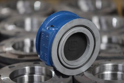 Клапан обратный (межфланцевый чугунный ) В Кургане